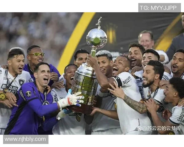 毫无黑点的足球明星背后的奋斗与荣耀之路揭秘