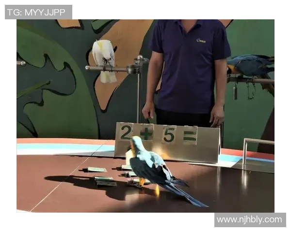 鹦鹉足球明星名字大全揭秘你不知道的那些球星背后的故事 鹦鹉足球明星名字大全揭秘你不知道的那些球星背后的故事